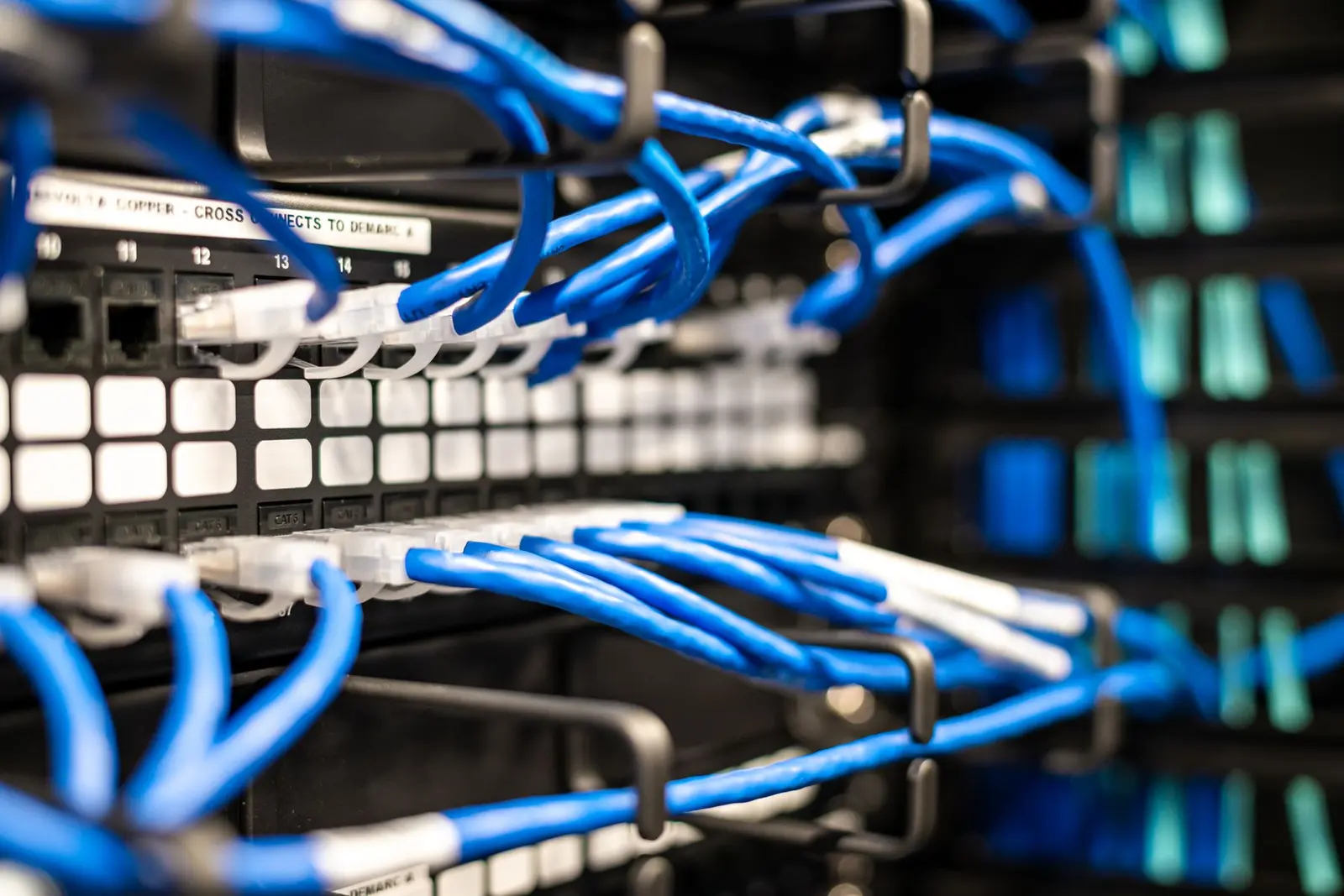 Data center patch panel-এ যুক্ত নীল network cable ও server connection