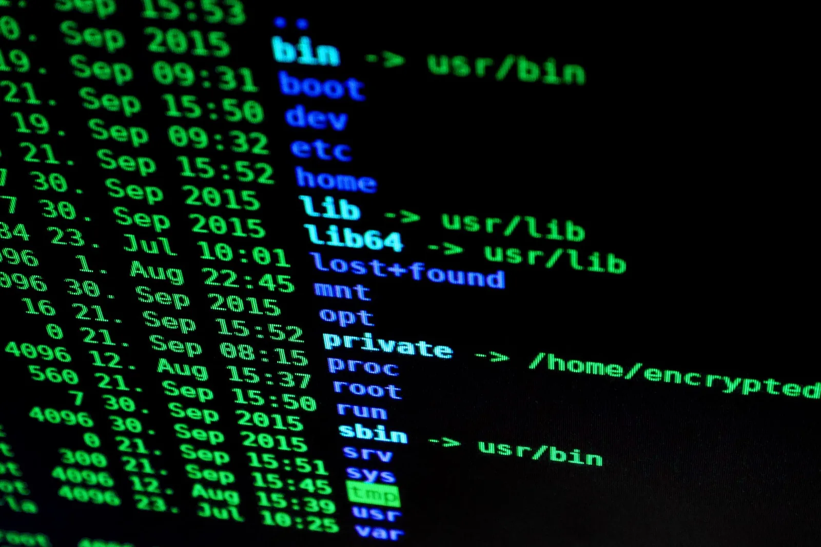 Computer screen-এ system file ও code-এর তালিকা দেখা যাচ্ছে